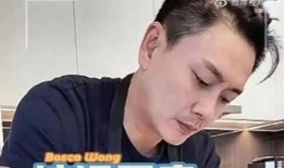 娱乐吃瓜君鹿晨辉,娱乐吃瓜界的风云人物