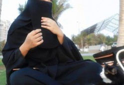 娱乐吃瓜君可爱,揭秘娱乐圈那些可爱又搞笑的幕后故事