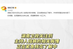 娱乐吃瓜开场白是什么,揭秘明星幕后故事，吃瓜群众必备指南
