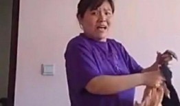 娱乐吃瓜君和郭老师,揭秘娱乐圈背后的故事