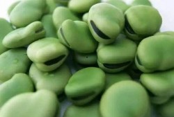 娱乐豆吃瓜,揭秘娱乐圈那些不为人知的幕后故事