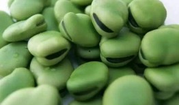 娱乐豆吃瓜,揭秘娱乐圈那些不为人知的幕后故事