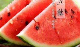 娱乐吃瓜酱江苏,江苏娱乐圈的那些事儿