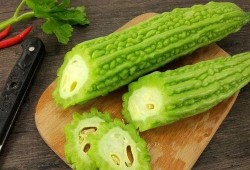 娱乐吃瓜的途径是什么,吃瓜群众的多元娱乐途径全解析