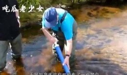 娱乐吃瓜老少女是谁,她是如何成为网络红人的？