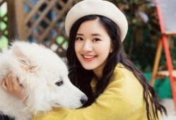 娱乐圈吃瓜爆料赵露思直播间,娱乐圈吃瓜爆料大揭秘