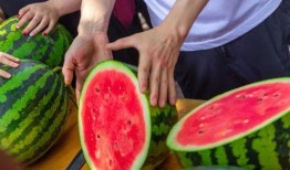 娱乐吃瓜酱喂西瓜,揭秘娱乐圈那些不为人知的幕后故事