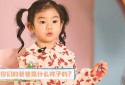 吃瓜小娱乐儿,揭秘娱乐圈幕后故事